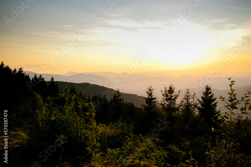 Puesta de Sol en montañas y bosque con pinos y árboles en contra luz