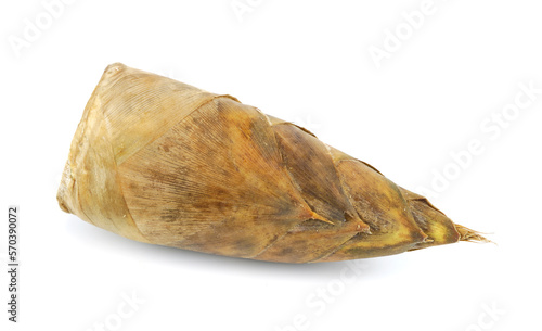 Bamboo shoot on the white background
