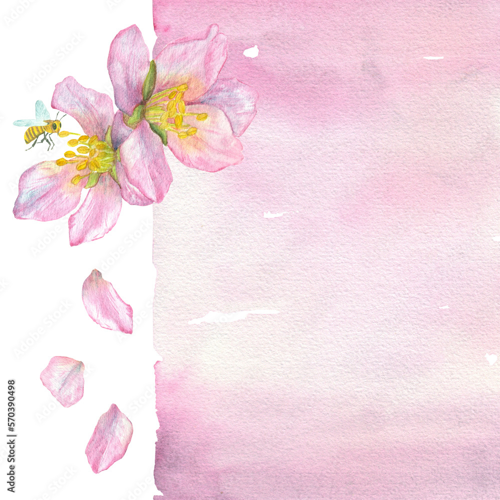 Illustration of a fruit tree flower - apple, cherry, cherry. Pink watercolor brush strokes, watercolor background.