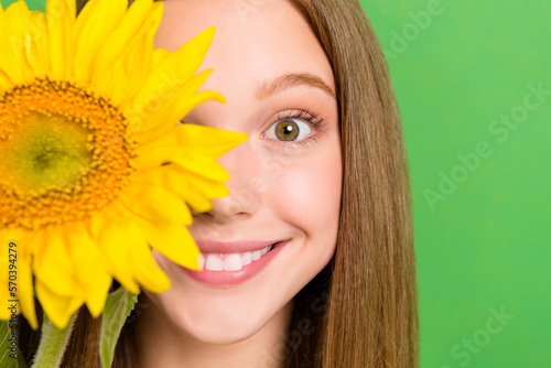 Closeup cropped photo of young hide eye toothy beaming smiling teenager girl hold yellow summer sunflower isolated on green color background