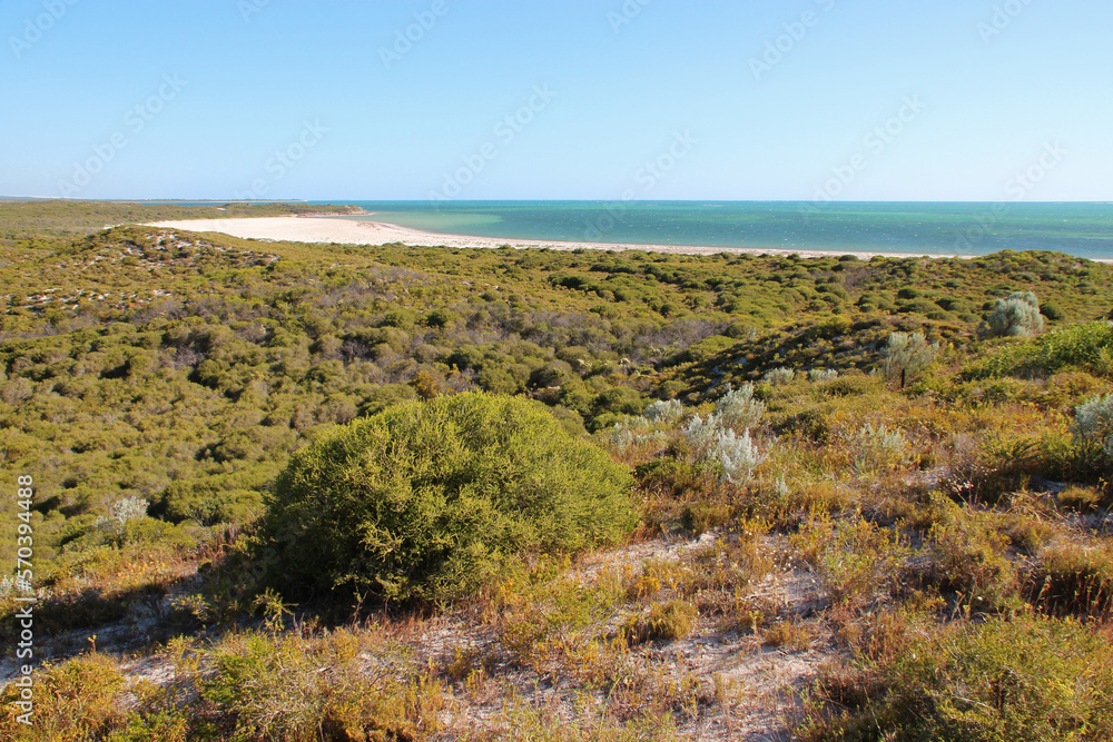 Fototapeta premium hansen bay at cervantes in australia