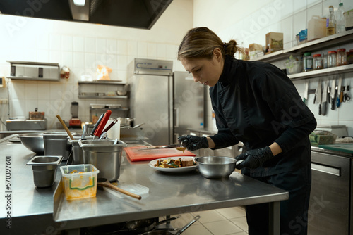 Fototapeta Naklejka Na Ścianę i Meble -  Woman cook pours meat on a plate with appetizing sauce