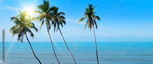 Fototapeta Naklejka Na Ścianę i Meble -  Coconut palm tree and sun. Wide photo.