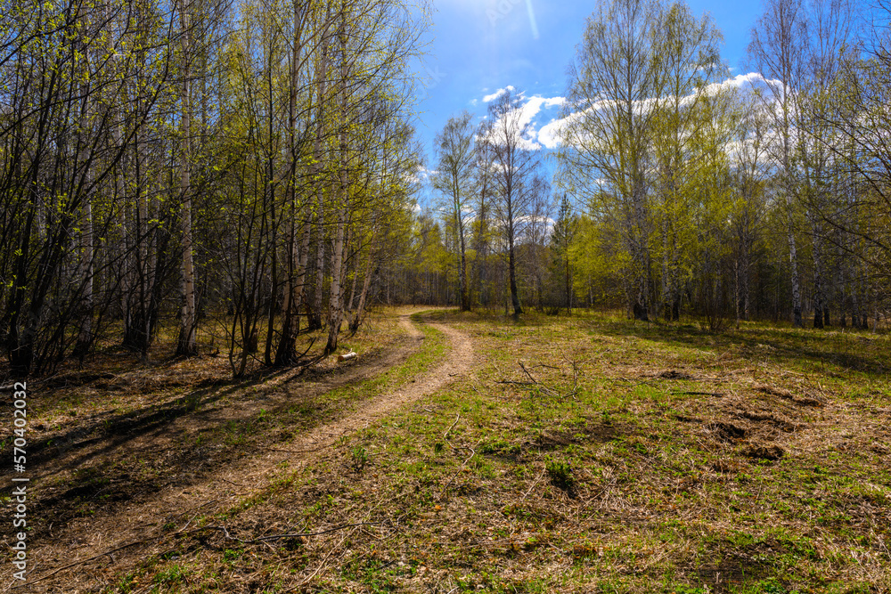 South Ural forest road with a unique landscape, vegetation and diversity of nature. South Ural forest road with a unique landscape, vegetation and diversity of nature.
