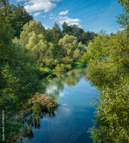 river in the woods