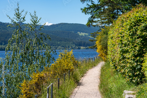 Schluchsee 14