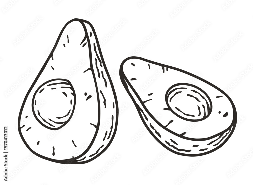 Avocado fruit or exotic eco element for vegetarian menu. Vegetable organic nature ingredient for food market. Avocado fruit or exotic eco element for vegetarian menu. Vegetable organic nature ingredient for food market.