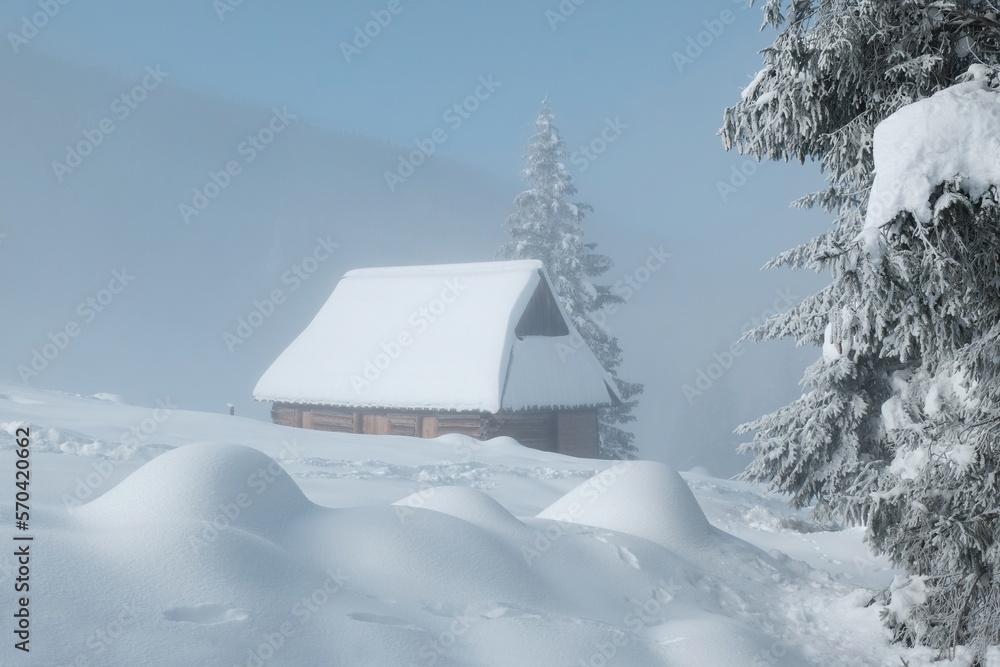 Amazing winter scenery of Tatra Mountains - Rusinowa Polana (Rusinowa Glade) with
shepherd's huts, Tatra National Park, Poland Amazing winter scenery of Tatra Mountains - Rusinowa Polana (Rusinowa Glade) with
shepherd's huts, Tatra National Park, Poland