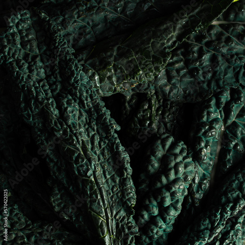 Macro close up Texture cavolo nero foglie insalata erba