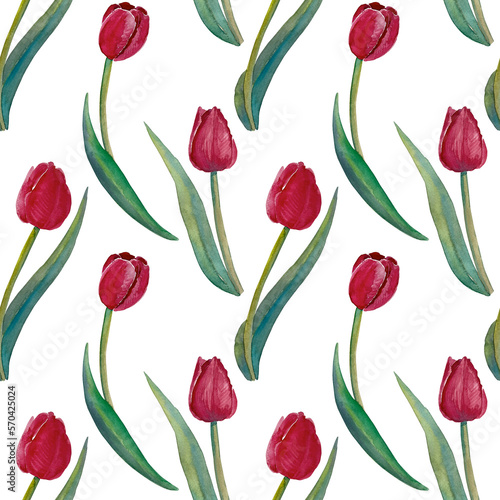 Seamless pattern of watercolor tulip flowers. Hand drawn illustration. Botanical hand painted floral elements on white background. © Nataliia