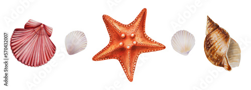 Watercolor set with starfish and shiny shells. Hand painting clipart underwater life objects on a white isolated background. For designers, decoration, postcards, wrapping paper, scrapbooking, covers