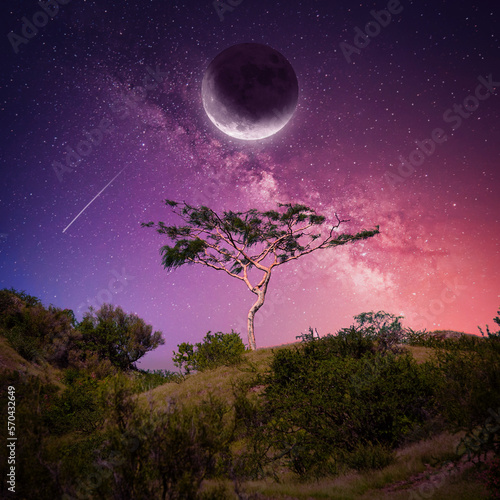 TREE UNDER THE MOON