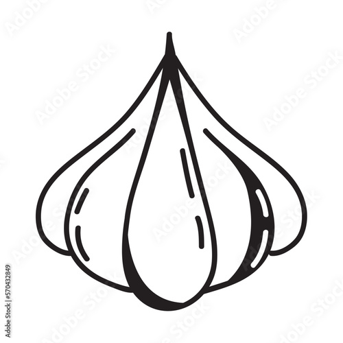 garlic food doodle