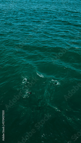 Wallpaper Mural Peruíbe Litoral Sul Paulista Baixada Santista São Paulo Praia  Barco Pesca Pescadores Pescaria Peixes Oceano Mar Turismo Férias Verão Natureza Rio Água Areia Aérea Paradisíaco  Torontodigital.ca