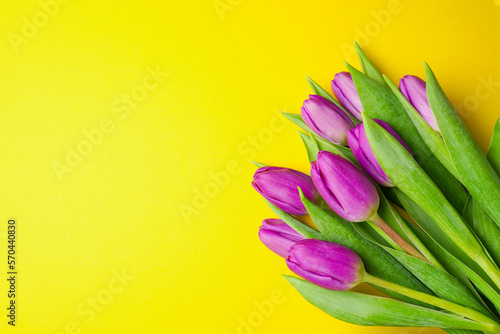Bouquet of purple tulips on yellow background. Mothers day, Valentines Day, Birthday celebration concept. Greeting card. Copy space, top view