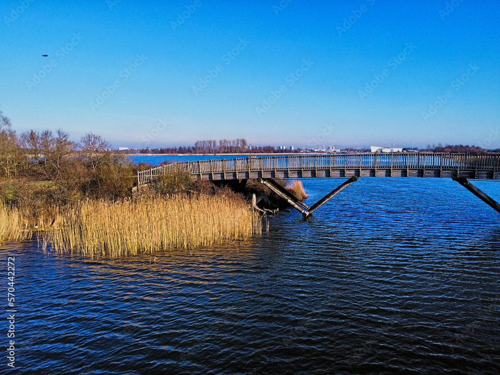 Fototapeta premium Embark on a Serene Adventure Through the Heart of Autumn's Promise: A Stunning Journey Over the Colorful Bridge to a Lush and Vibrant Landscape