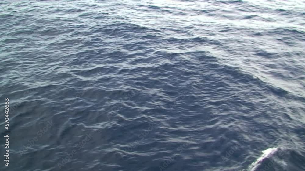 Water surface of Pacific Ocean of Galapagos Islands. Pacific Ocean and Galapagos Islands provide magnificent setting for breathtaking wildlife landscape. Water surface of Pacific Ocean of Galapagos Islands. Pacific Ocean and Galapagos Islands provide magnificent setting for breathtaking wildlife landscape.