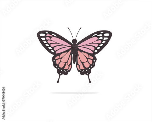 butterfly hand drawn design 