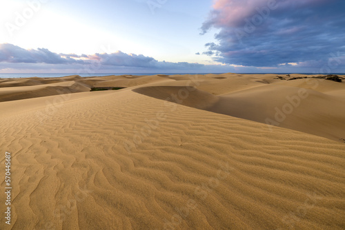 Golden hour at Maspalomas Dunes