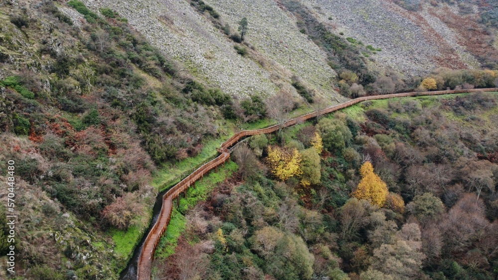 Nature content Nature content