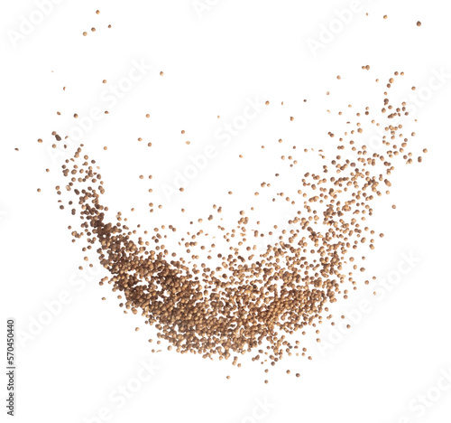 Fototapeta Naklejka Na Ścianę i Meble -  Coriander seed fly explosion, brown coriander seed float explode, abstract cloud fly. Dried coriander seeds splash throwing in Air. White background Isolated high speed shutter, freeze motion