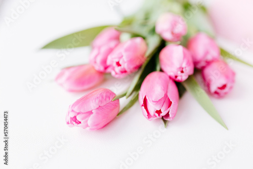 Pink tulips close-up on a white background. Background for Valentine's Day. Gift for Mother's Day or Women's Day