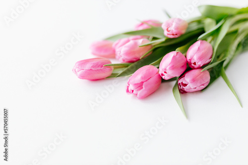 Fototapeta Naklejka Na Ścianę i Meble -  Pink tulips close-up on a white background. Background for Valentine's Day. Gift for Mother's Day or Women's Day