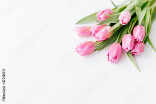 Pink tulips close-up on a white background. Background for Valentine's Day. Gift for Mother's Day or Women's Day