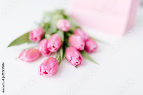 Pink tulips close-up on a white background. Background for Valentine s Day. Gift for Mother s Day or Women s Day