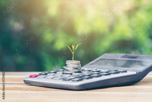 The tree grows on coins is on the calculator. denotes business growth, calculating the calculator. planning savings money of coins concept for property, mortgage, business and investment concept.