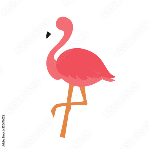 vector animal flamingo looks like real