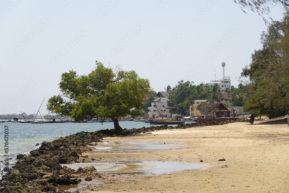 Kenya - Lamu Island - Shela - Beach Road Views Kenya - Lamu Island - Shela - Beach Road Views