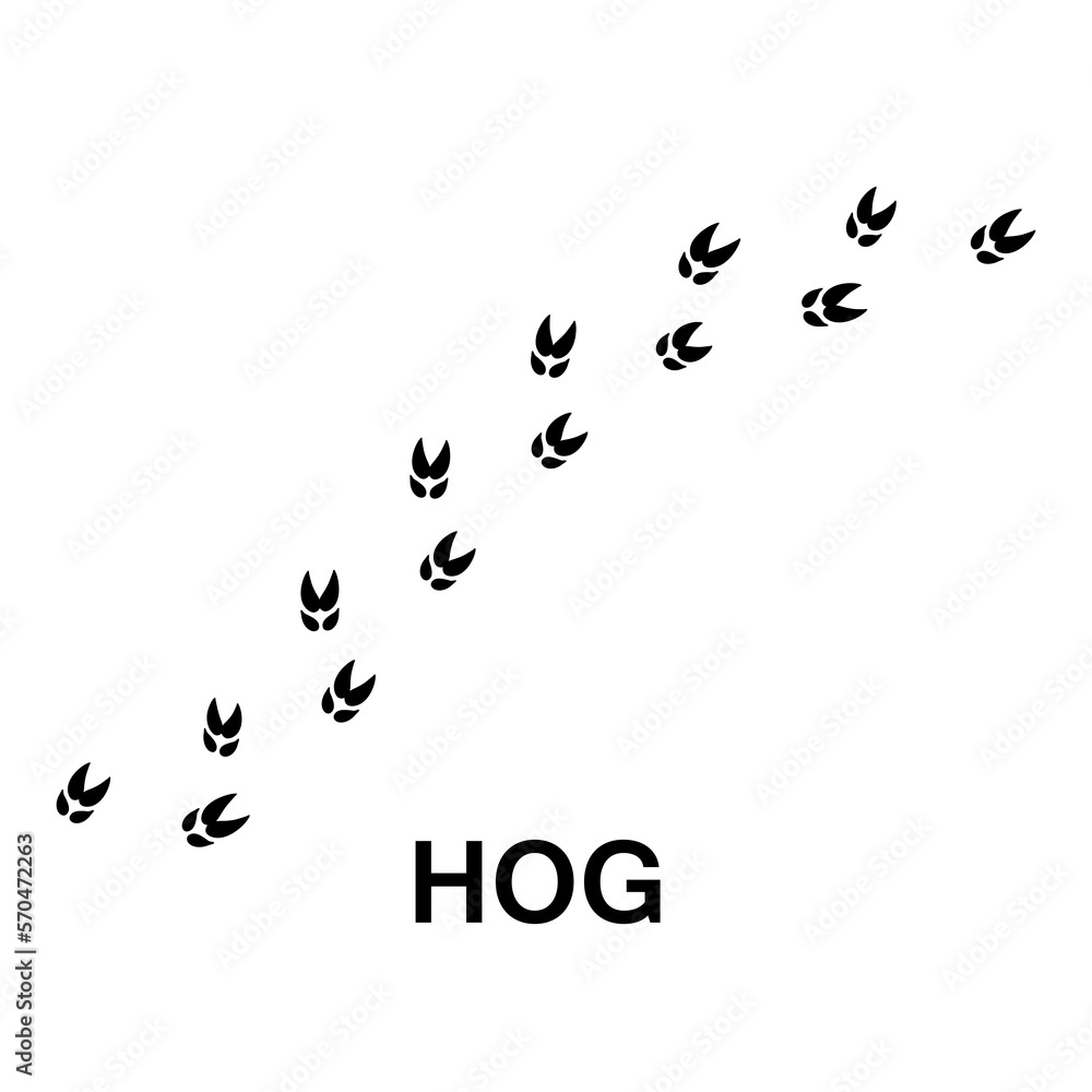 hog foot print, animal paw print illustration on white background