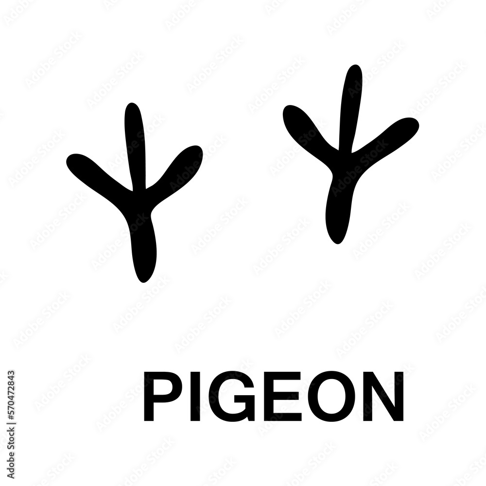 Obraz premium pigeon foot print, animal paw print illustration on whitebackground..eps