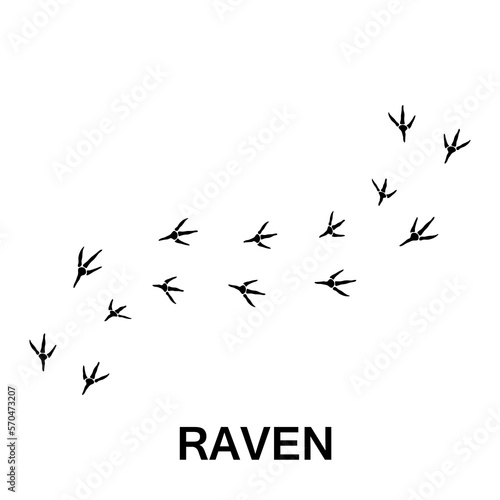 raven foot print  animal paw print vector trendy style on white background 
