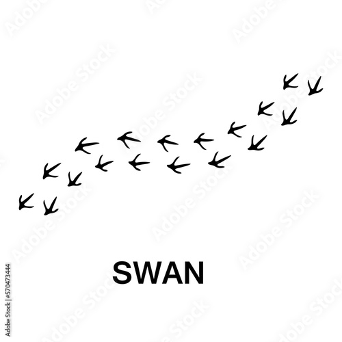 swan foot print, animal paw print illustration on white background 