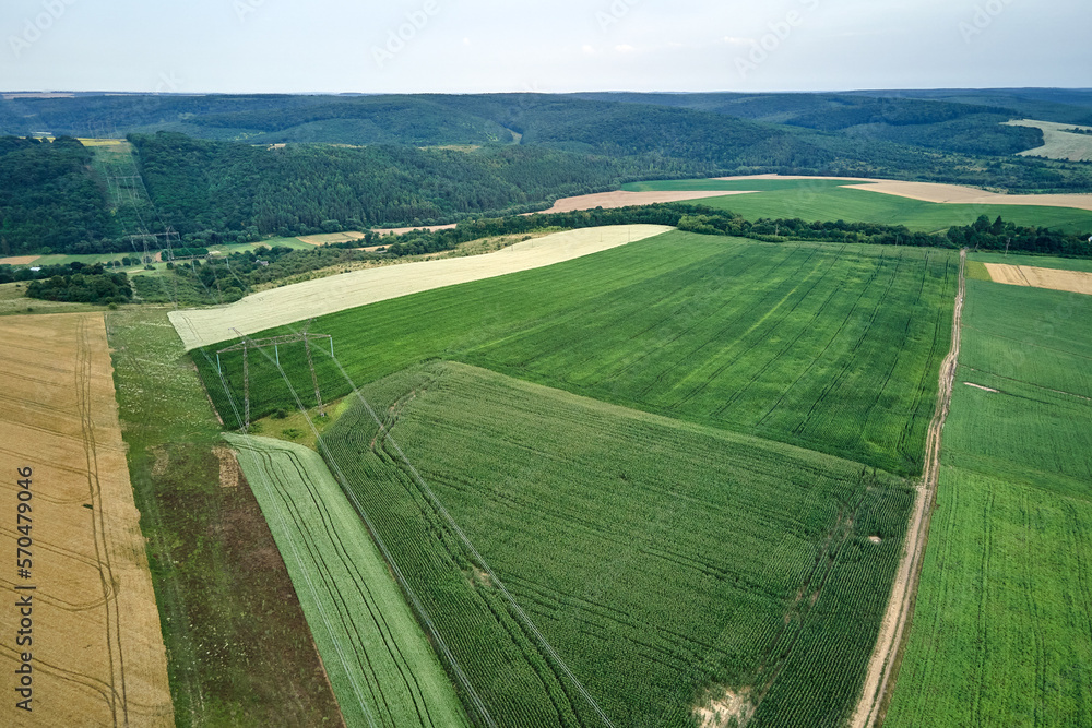 Aerial landscape view of green and yellow cultivated agricultural fields with growing crops on bright summer day