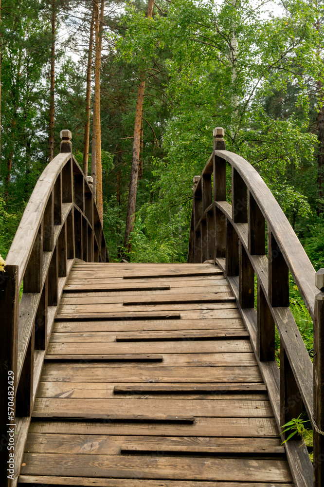 Summer landscape. A wooden bridge in a pine forest.