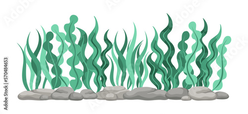 Underwater Organism Algae Seaweed Doodle Vector. Organic Water Plant Illustration.