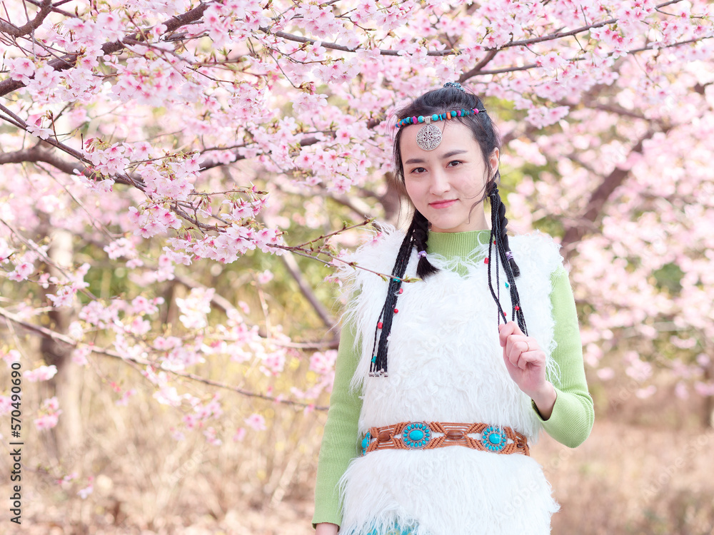 Outdoor portrait of beautiful young Chinese girl in Tibetan traditional clothing with blossom cherry tree brunch background in spring garden, beauty, summer, emotion, expression and people concept. Outdoor portrait of beautiful young Chinese girl in Tibetan traditional clothing with blossom cherry tree brunch background in spring garden, beauty, summer, emotion, expression and people concept.