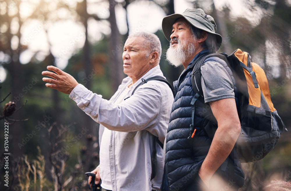 Looking, pointing and mature men in nature for hiking, retirement travel and backpacking in Nepal. Walking, adventure and senior friends on a search while bird watching in the mountains on a walk Looking, pointing and mature men in nature for hiking, retirement travel and backpacking in Nepal. Walking, adventure and senior friends on a search while bird watching in the mountains on a walk