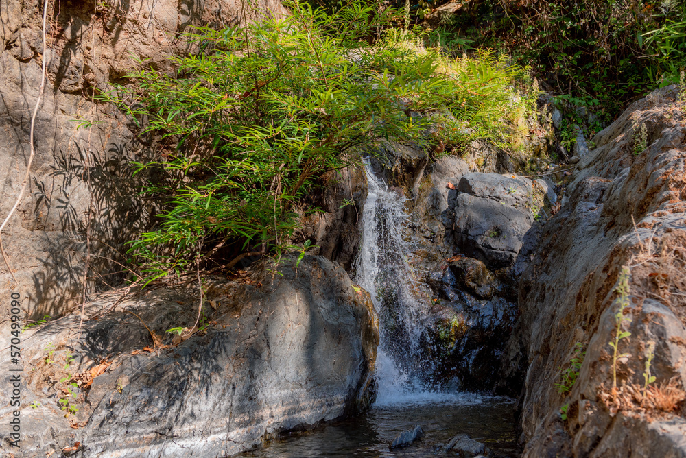 Fototapeta premium Deep forest waterfall background image