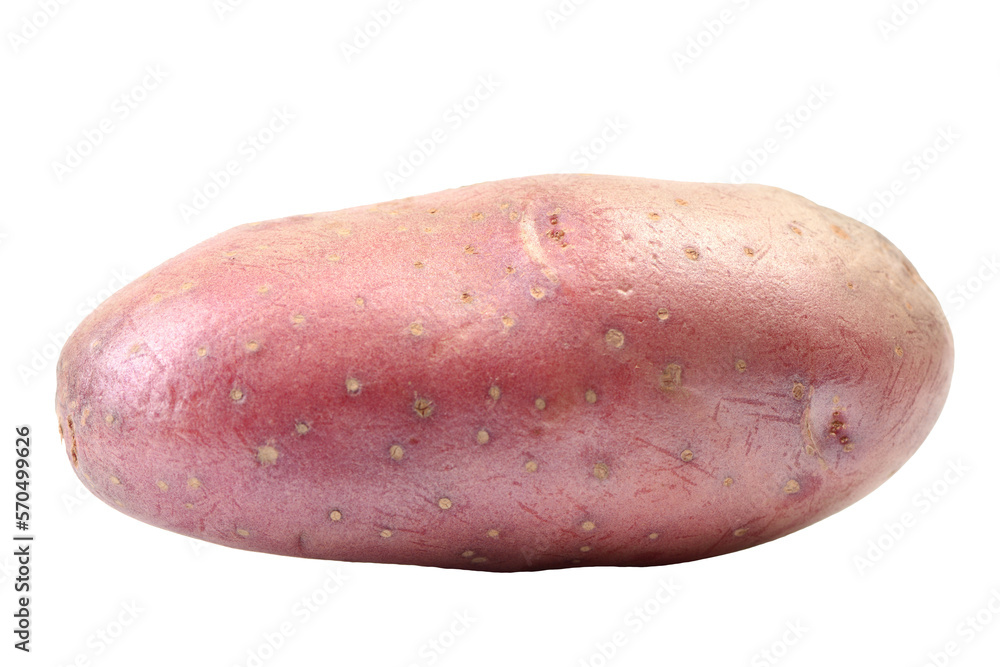Potato isolated on white background Potato isolated on white background