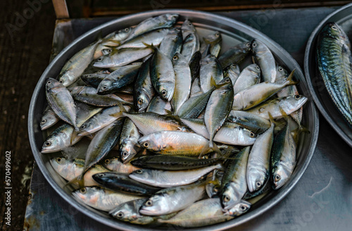 Fresh mackerel laying on trays filled with ice for sale in Sriracha seafood market, Thailand