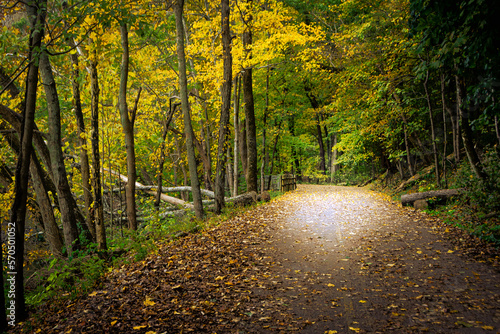 Fall Path with Leaves on Ground