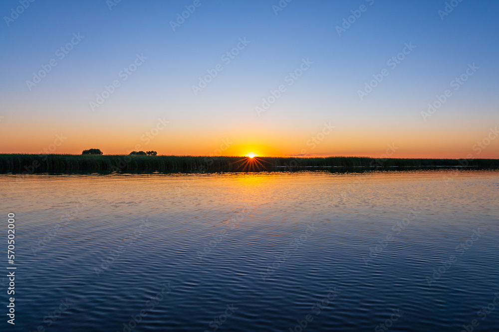 Yellow colors of the sunset over the lake. The rays of the sun at sunset through the wall of reeds
