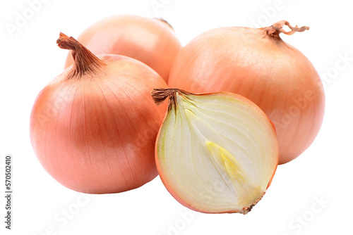 Onion isolated on white background