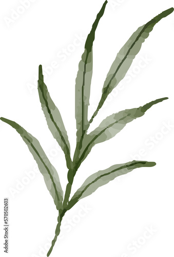 watercolor illustration of leaves
