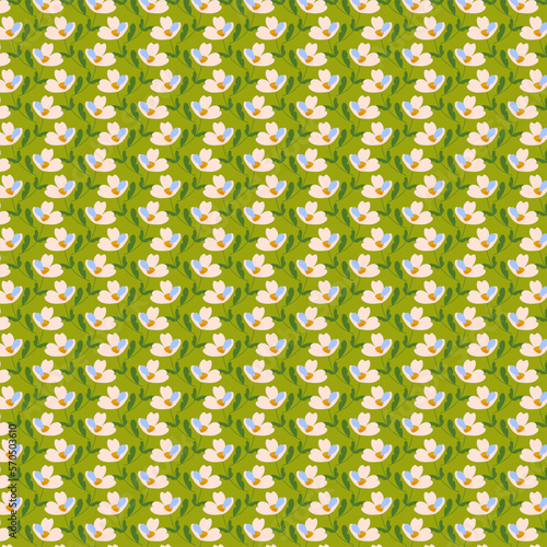 Spring botanical pattern of simple white - blue flowers and dark green leaves isolated on a light green background