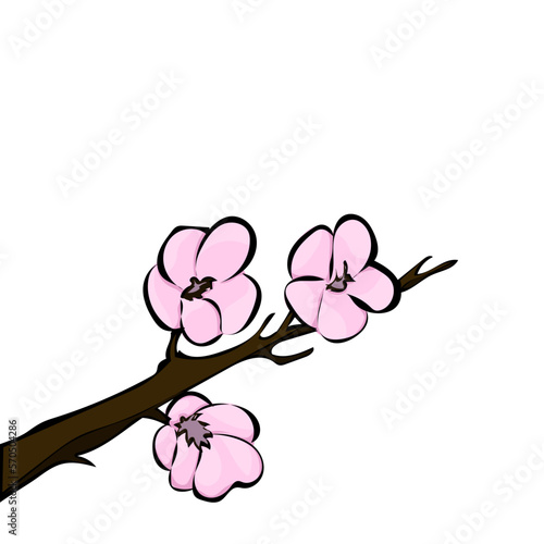 Kirschblüten